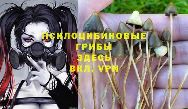 винт Бородино