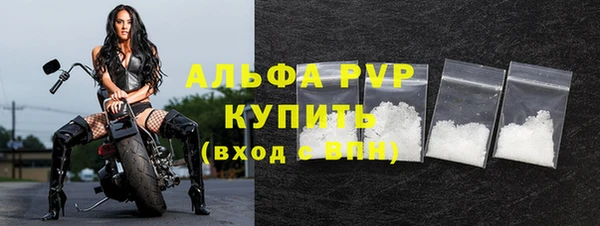 винт Бородино
